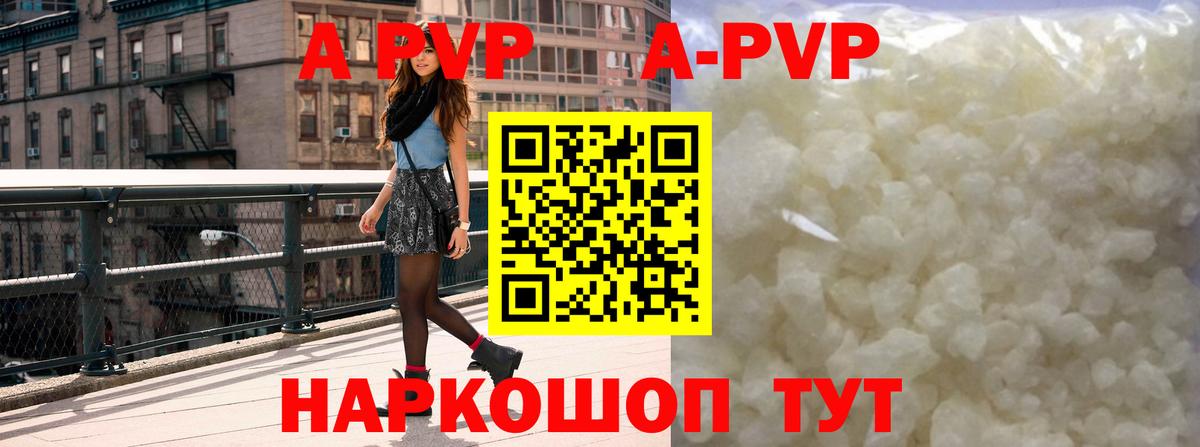 Alfa_PVP СК КРИС Ростов Великий